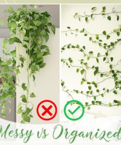 Climbing Plant Wall Fixing Clips,Fixing Clips,Climbing Plant Wall