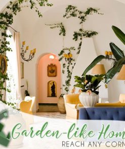 Climbing Plant Wall Fixing Clips,Fixing Clips,Climbing Plant Wall