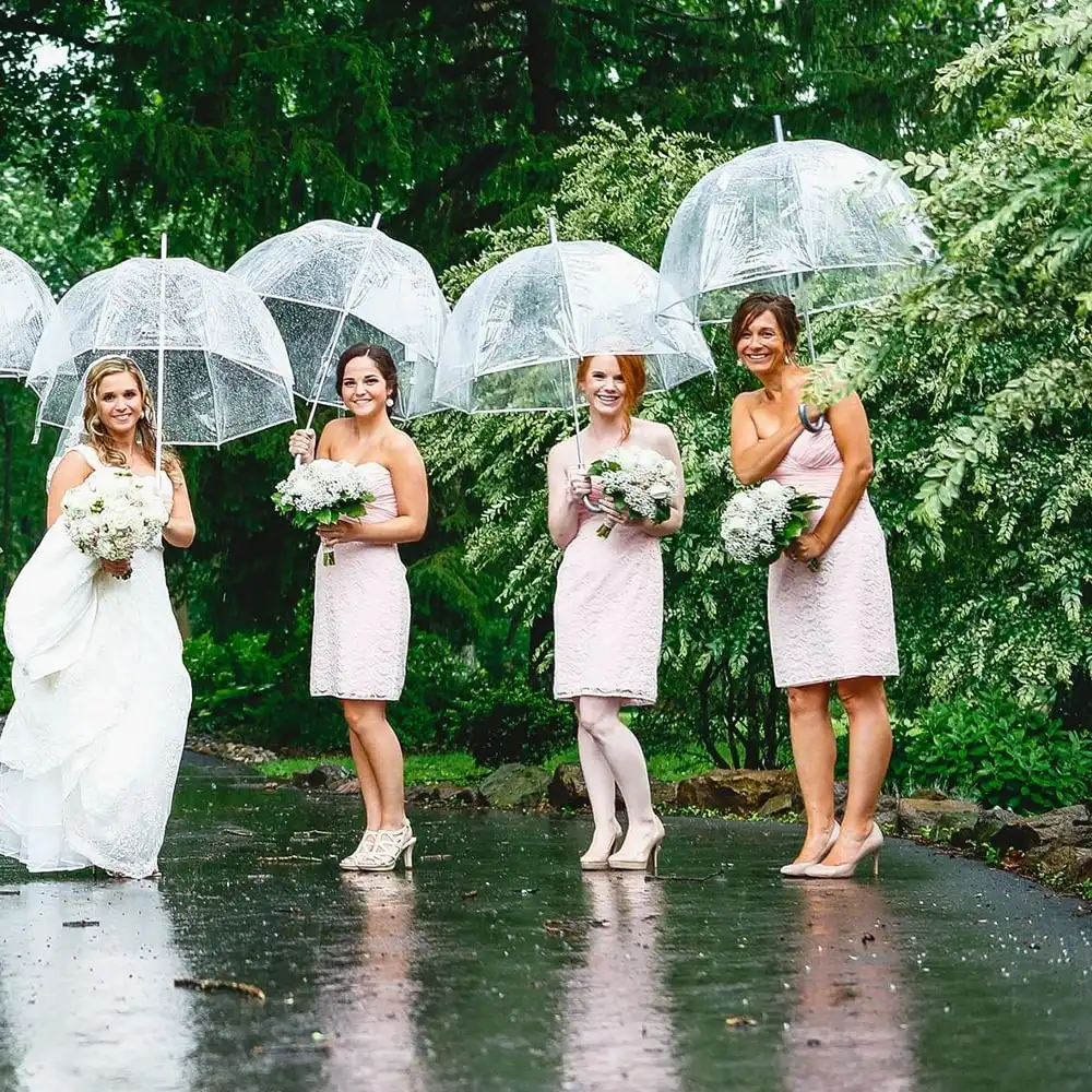 Bubble Umbrella,Transparent Bubble,8-Rib Transparent Bubble Umbrella