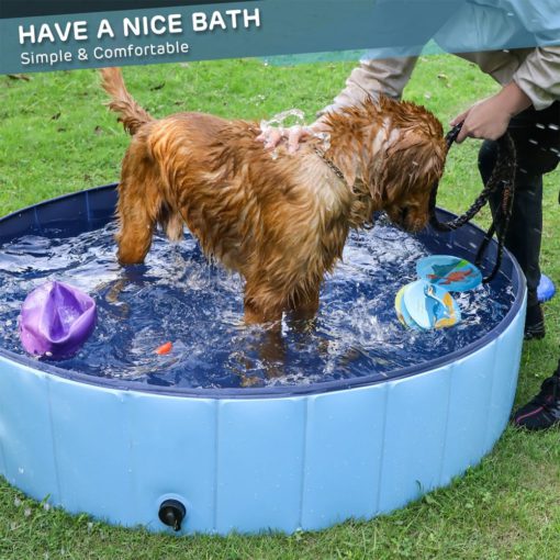Piscina para cães, natação para cães, piscina