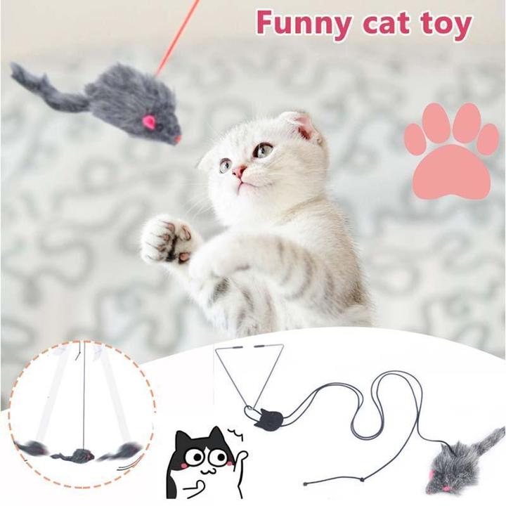 Hanging Door Bouncing Mouse Cat Toy Best 2022 MOLOOCO