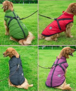 Jacket With Harness,Winter Jacket,Pet Winter Jacket With Harness