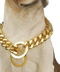 Luxury Dog Collar,Luxury Dog,Dog Collar,Stainless Steel Luxury Dog Collar