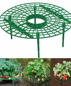 Support Frame,Strawberry Planting,Strawberry Planting Support Frame