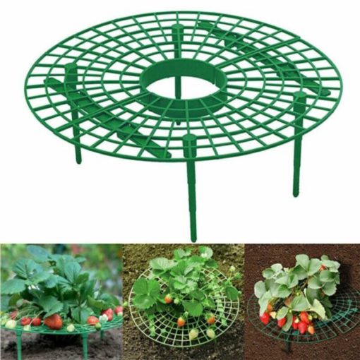 Support Frame,Strawberry Planting,Strawberry Planting Support Frame
