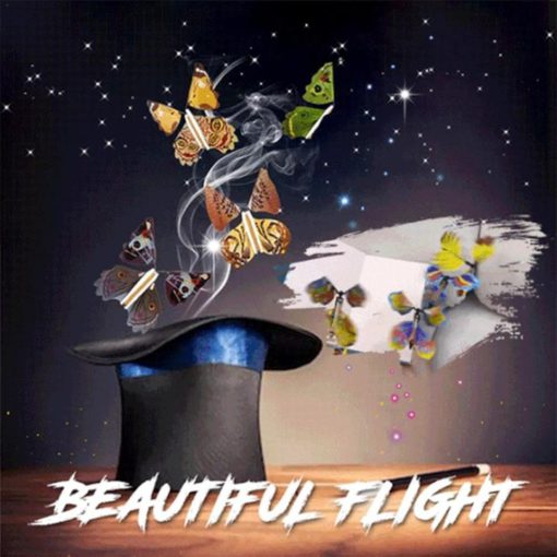 Magic Flying Féileacán, Magic Flying, Flying Butterfly