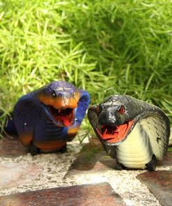 Water Snake Toy,Interactive Cat Toys,Snake Toy