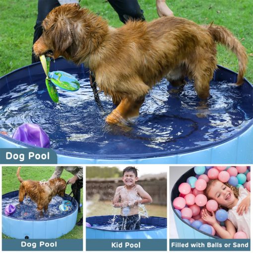 Piscina de gossos, piscina de gossos, piscina