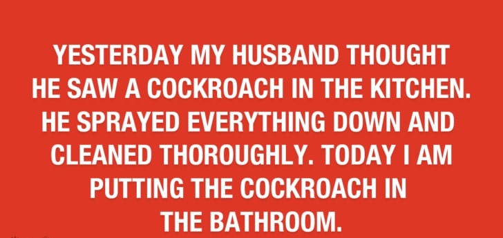 Cockroach in The bathroom