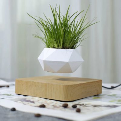 Levitating Plant,Levitating Plant Pot 