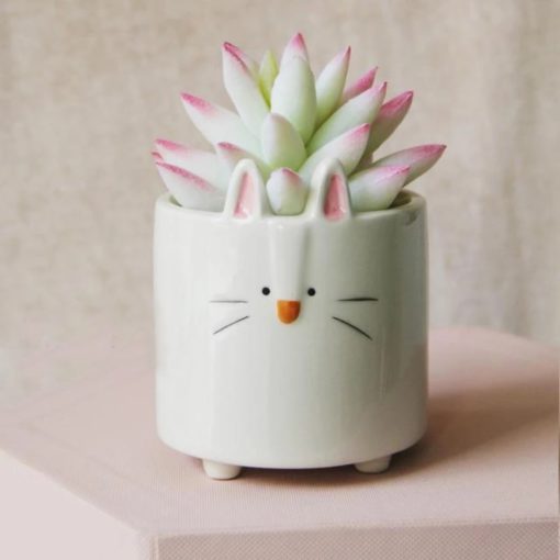 Mga Ceramic Flower Pot