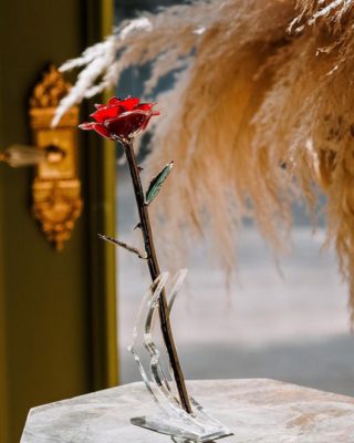 24k Gold Dipped Rose,Gold Dipped Rose,Dipped Rose