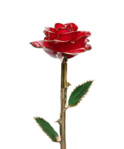 24k Gold Dipped Rose,Gold Dipped Rose,Dipped Rose