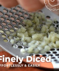 Stainless Steel Garlic Presser,Garlic Presser