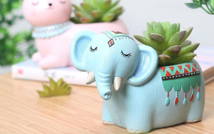 White Elephant Gift Ideas