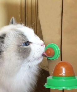 Sugar Ball,Energy Sugar,Cat Treats