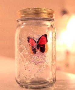 Butterfly Jar,Magic Butterfly Jar