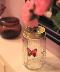Butterfly Jar,Magic Butterfly Jar