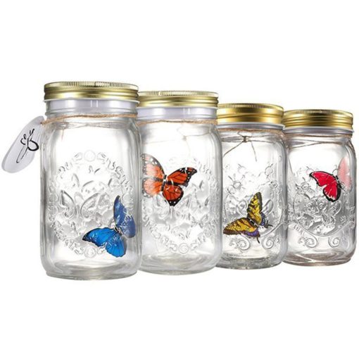 Butterfly Jar, Magic Butterfly Jar