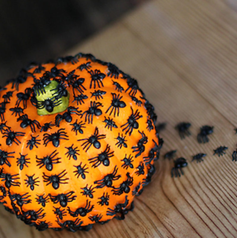 No Carve Pumpkin Decorating Ideas,Pumpkin Decorating Ideas