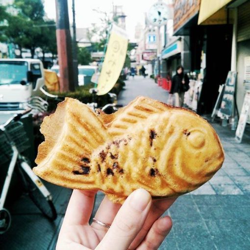 생선 팬케이크, 팬케이크 메이커, 일본 팬케이크
