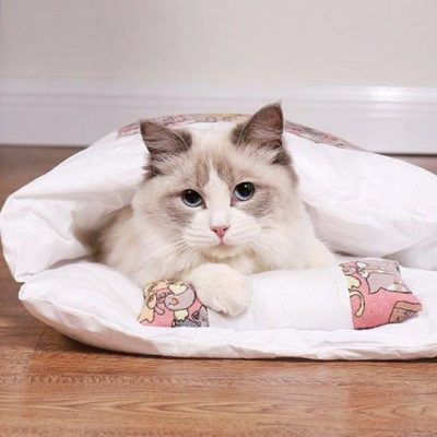 Bed With Pillow,Cat Bed With Pillow,Cat Bed