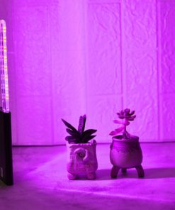 Indoor Led Plant Grow Light Strip