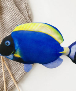 Baby Fish Toy