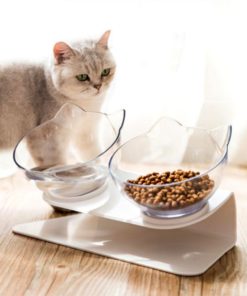 Anti Vomiting Orthopedic Cat Bowl