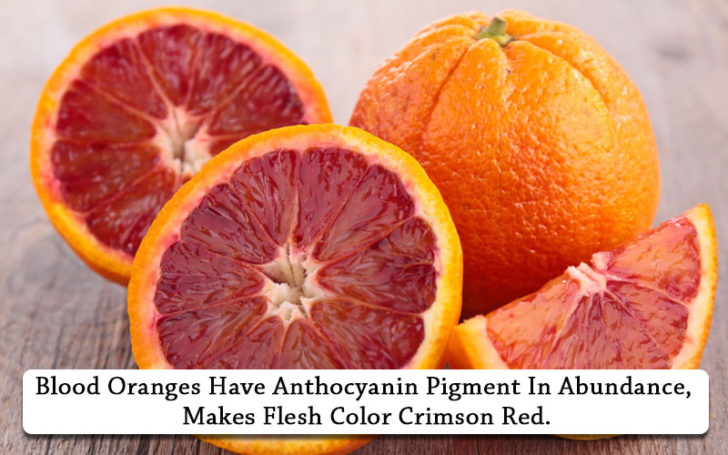 Types Of Oranges