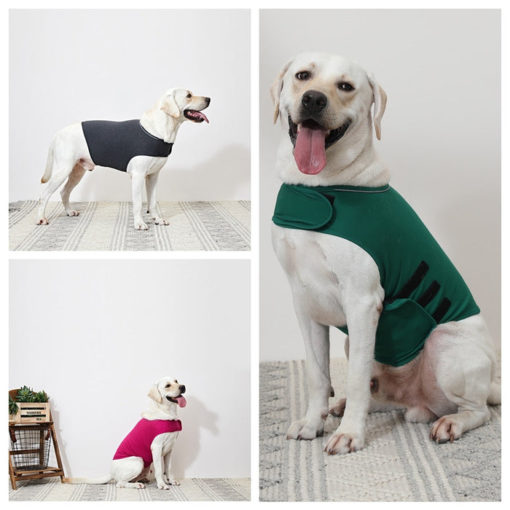 Buy Dog Anxiety Vest Online Best Price 2022 MOLOOCO