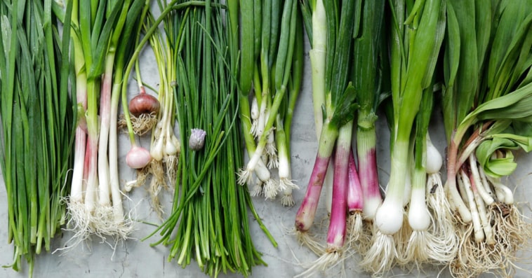 Green Onion Substitute