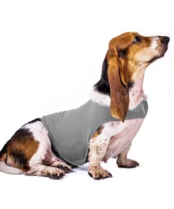 Dog Anxiety Vest