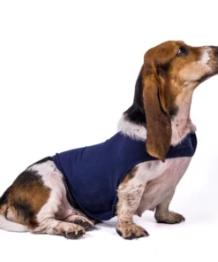 Dog Anxiety Vest