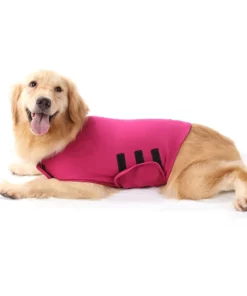 Dog Anxiety Vest