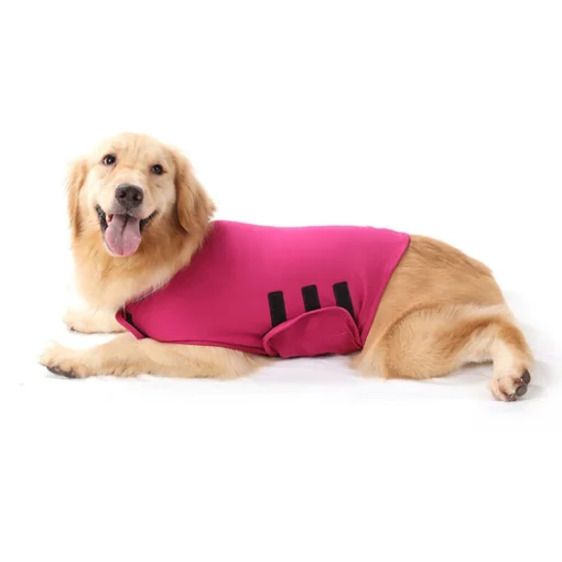 Dog Anxiety Vest