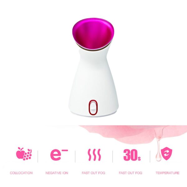 Nano Ionic Facial Steamer