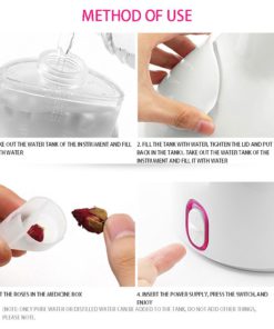 Nano Ionic Facial Steamer