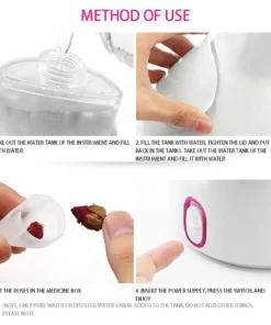 Nano Ionic Facial Steamer