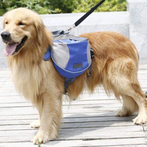 backpack dog