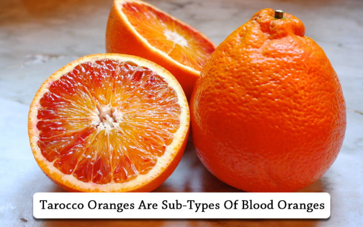 Types Of Oranges