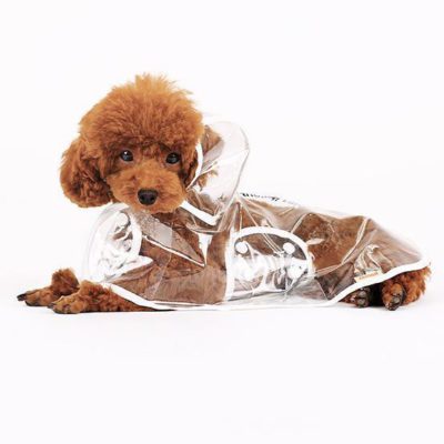 Transparent Dog Raincoat
