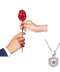 Eternal Rose Heart Necklace Set