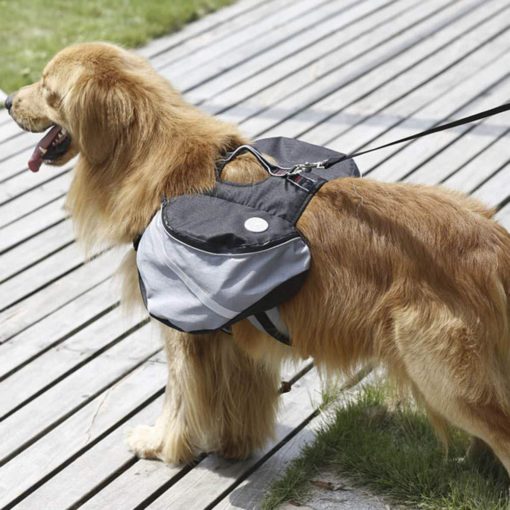 Plecak dla psa na zewnątrz