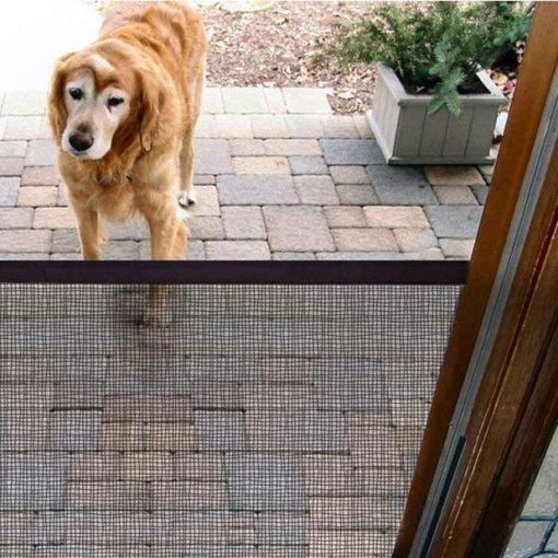 Нохойн аюулгүй байдлын хаалга