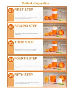 Portable Fresh Juice Bottle