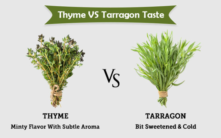 Thyme Substitute