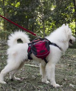 Outdoor Dog Backpack