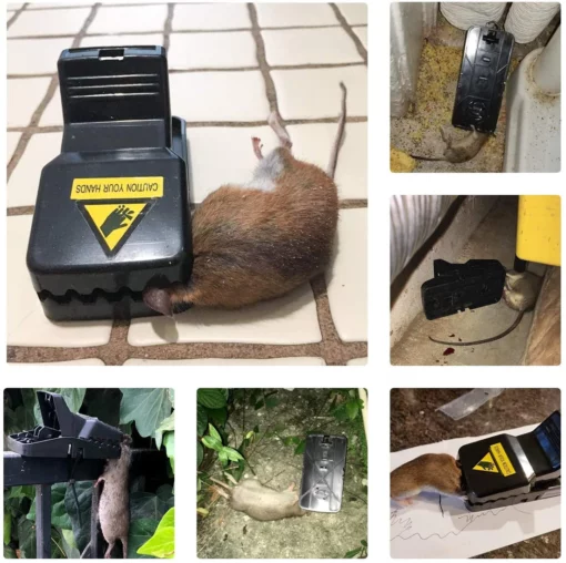 Trappe per mouse riutilizzabili altamente sensibili