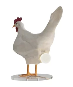 This Taxidermy Chicken Egg Lamp Exists